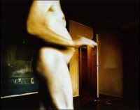 soinio/2009/Sankarin-koti_05