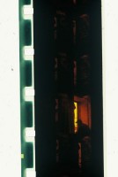 taanila/2006/taanila01_500x335