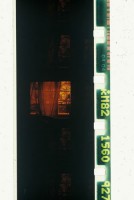 taanila/2006/taanila02_500x335