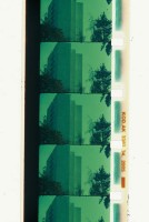 taanila/2006/taanila03_500x335