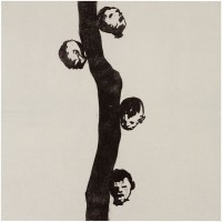 tanttu/2008/tanttu_strange_fruits