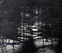 tompuri/2011/ANNE-TOMPURI---SARJASTA---HEIJASTUS--2011