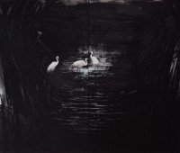 tompuri/2024/ANNE_TOMPURI_CRANES_II_2024