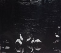 tompuri/2024/ANNE_TOMPURI_CRANES_I_2024