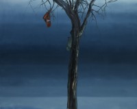 torronen/2013/ANSSI_TORRONEN_NIMETON_2012_197X247