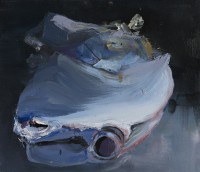 torronen/2013/ANSSI_TORRONEN_NIMETON_2012_25X30