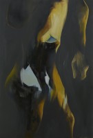 torronen/2016/ANSSI_TORRONEN_Nimeton_2016_oljy_kankaalle_180x122