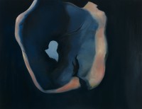 torronen/2016/Nimeton_2014_Oljy_kankaalle_197x255_B