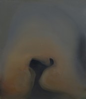 torronen/2016/Nimeton_2014_oljy_kankaalle_79x68