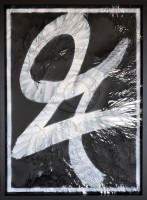 twoseven/2016/JUSSI_TWOSEVEN_aegolius_funereus_stencils_2016