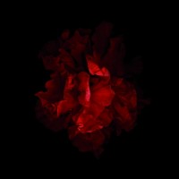 vainio/2010/MARJUKKA_VAINIO_Punainen_LII_2006-2010