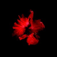 vainio/2010/MARJUKKA_VAINIO_Punainen_LXIV_2006-2010