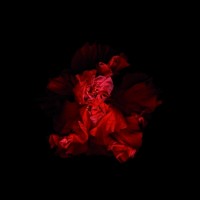 vainio/2010/MARJUKKA_VAINIO_Punainen_XLVI_2006-2010