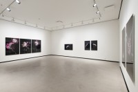 vainio/2014/Vainio_SuiteDebussy_2a