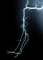 vainio/Koivu-Birch_II-363