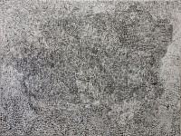 weckman/weckman-derenin-luonto