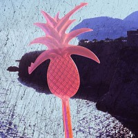 whitehead/2006/pineapple