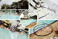 whitehead/2006/post-card