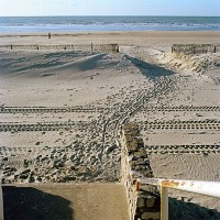whitehead/2006/tracksand