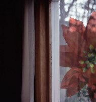 whitehead/window