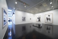 yleiskuvat/GalleriaHeino-025715